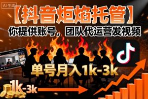 【抖音炬焰托管】你提供账号,团队代运营发视频,单号月入1k+【揭秘】-互联网资源大全网