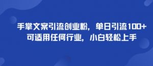 手掌文案引流创业粉，单日引流100+，可适用任何行业，小白轻松上手-互联网资源大全网