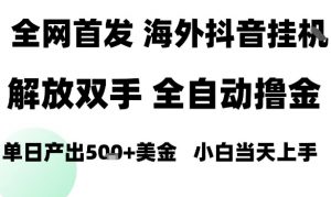 海外抖音无人直播,单日产出1.5k+,长期稳定,新手可玩,无脑操作【揭秘】-互联网资源大全网
