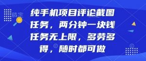 纯手机项目评论截图任务，两分钟一块钱多劳多得，随时随地都能做【揭秘】-互联网资源大全网