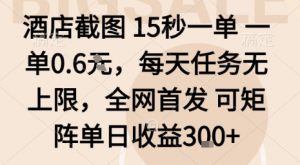 酒店截图15秒一单,一单0.6米,每天任务无上限,全网首发可矩阵单日收益3张【揭秘】-互联网资源大全网