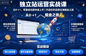 独立站运营实战课,从0到1,零基础也能快速上手,开启你的品牌出海掘金之旅-互联网资源大全网