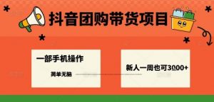 抖音团购带货项目,一部手机简单操作,一周3k+-互联网资源大全网
