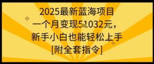 2025最新蓝海项目一个月变现1w+新手小白也能轻松上手【附全套指令】-互联网资源大全网