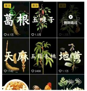 抖音中草药赛道,用AI做中草药故事视频,45条作品涨粉13W,橱窗带货猛猛出单-互联网资源大全网