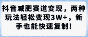 抖音减肥赛道变现，两种玩法轻松变现3W+，新手也能快速复制-互联网资源大全网