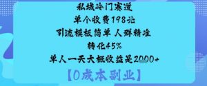 私域冷门赛道:单个收费198米引流模板简单人群精准转化45%单人一天大概收益是1k+-互联网资源大全网