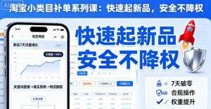 淘宝小类目补单系列课,快速起新品,安全不降权-互联网资源大全网