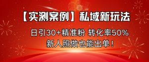 【实测案例】私域新玩法,日引30+精准粉,转化率50%,新人照做也能出单!-互联网资源大全网