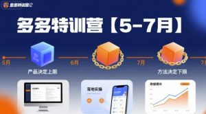 多多特训营,产品决定上限,方法决定下限,各种玩法技巧落地实操(更新)-互联网资源大全网