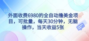 外面收费6980的全自动撸美刀项目，可批量，每天30分钟，无脑操作，当天收益5张【揭秘】-互联网资源大全网
