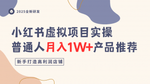 小红书虚拟项目实操指南，普通人月入1W+产品推荐，直接抄-互联网资源大全网