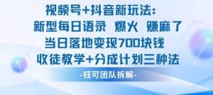 视频号加抖音新玩法：爆火新型每日语录，收徒教学加分成计划，三种变现玩法，当日变现7张-互联网资源大全网