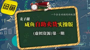 麦子甜咸鱼自助卖货实操版(虚拟资源)一个会自动搞钱的机器-互联网资源大全网
