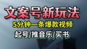 文案号新玩法,5分钟一条爆款视频,流量高,起号快,多方位变现-互联网资源大全网