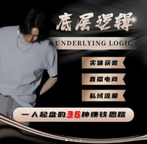 一个人起盘的底层逻辑,私域流量-直播电商-实体获客,一人起盘的36种賺钱思路-第一资源库