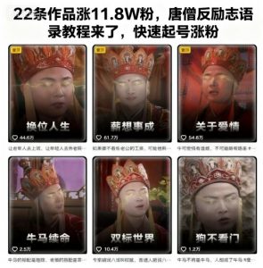 22条作品涨11.8W粉,唐僧反励志语录教程来了,快速起号涨粉-互联网资源大全网