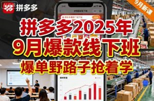 拼多多2025年9月爆款线下班，爆单野路子抢着学-互联网资源大全网