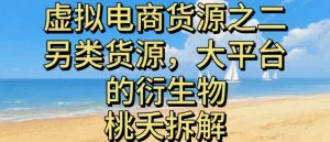 虚拟电商之二—另类的货源，大平台的衍生物-互联网资源大全网