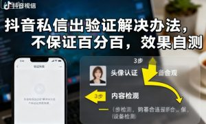 抖音私信出验证解决办法，不保证百分百，效果自测-互联网资源大全网