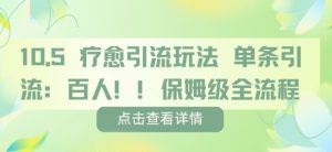 疗愈引流玩法,单条引流百人,保姆级全流程-互联网资源大全网
