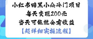 小红书暗黑小众冷门项目每天变现2张当天可能就会有收益-互联网资源大全网