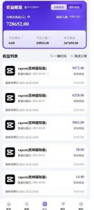2025风口TK剪映capcut拉新项目,极限高客单,市场空白,2025下半年真正的蓝海项目-互联网资源大全网