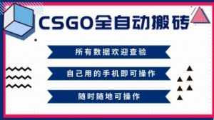 CSGO全自动搬砖，年底钱回家好项目，当天可拿到结果，新手小白轻松月入1W+【揭秘】-互联网资源大全网