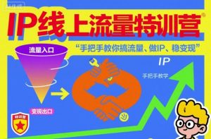 IP线上流量特训营,手把手教你搞流量、做IP、稳变现-互联网资源大全网
