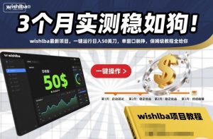 3个月实测稳如狗!wishlba最新项目,一键运行日入50美刀,单窗口躺挣,保姆级教程全给你【揭秘】-互联网资源大全网