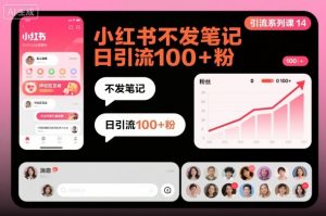 引流系列课14：小红书不发笔记日引流100+粉-互联网资源大全网