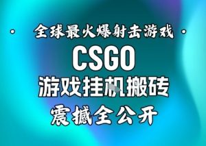 【年底大揭秘】基于全球最火爆的射击CSGO游戏挂G搬砖,日入5张+,震撼公开-互联网资源大全网
