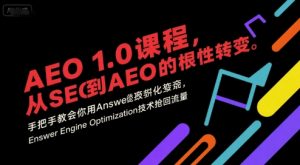 AEO 1.0 课程,从SEO到AE0的基命性转变,手把手教会你用AnswerEngineOptimization技术抢回流量(更新)-第一资源库