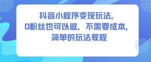 抖音小程序变现玩法，0粉丝也可以做，不需要成本，简单的玩法教程-互联网资源大全网
