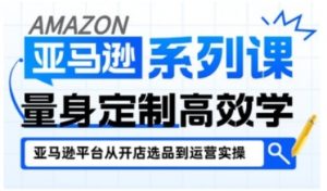 亚马逊新手开店从入门到精通,全面覆盖亚马逊开店各阶段要点,助新手从入门到精通-互联网资源大全网