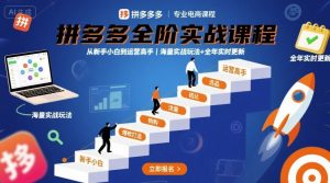 拼多多全阶实战课程,从新手小白到运营高手,海量实战玩法+全年实时更新【2025年10月更新】-第一资源库