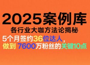 2025案例库,收录各行业大咖的方法论,各行业大咖方法论揭秘-第一资源库