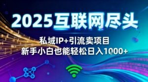 2025网创尽头王炸项目!私域IP+精准引流,新手小白在家躺賺日入1k,零经验也能上手【揭秘】-互联网资源大全网