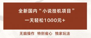 全新国内小说挂G项目,多窗口无脑跑,一天轻松1k+,特别省心【揭秘】-第一资源库
