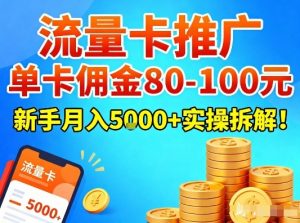 流量卡推广,单卡佣金80-100,新手月入5k+实操拆解!-第一资源库